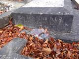 image of grave number 170914